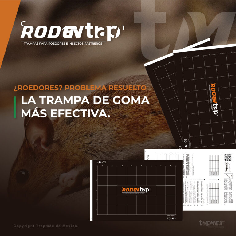 Trampa de goma para roedores e insectos rastreros - Rodentrap 2 (4)