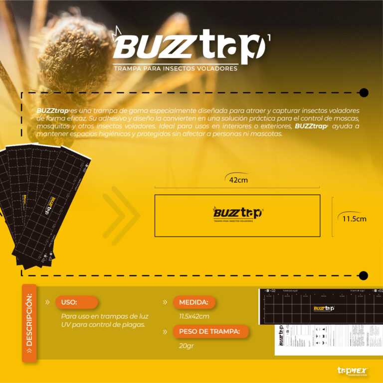 Buzztrap (Individual) - 2 (2)