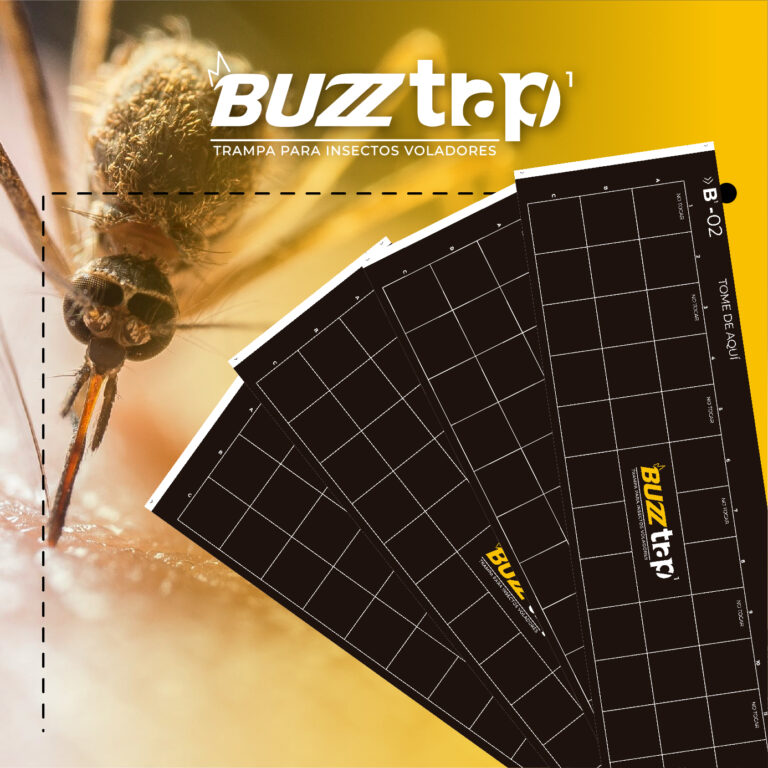 Buzztrap (Individual) - 2 (3)