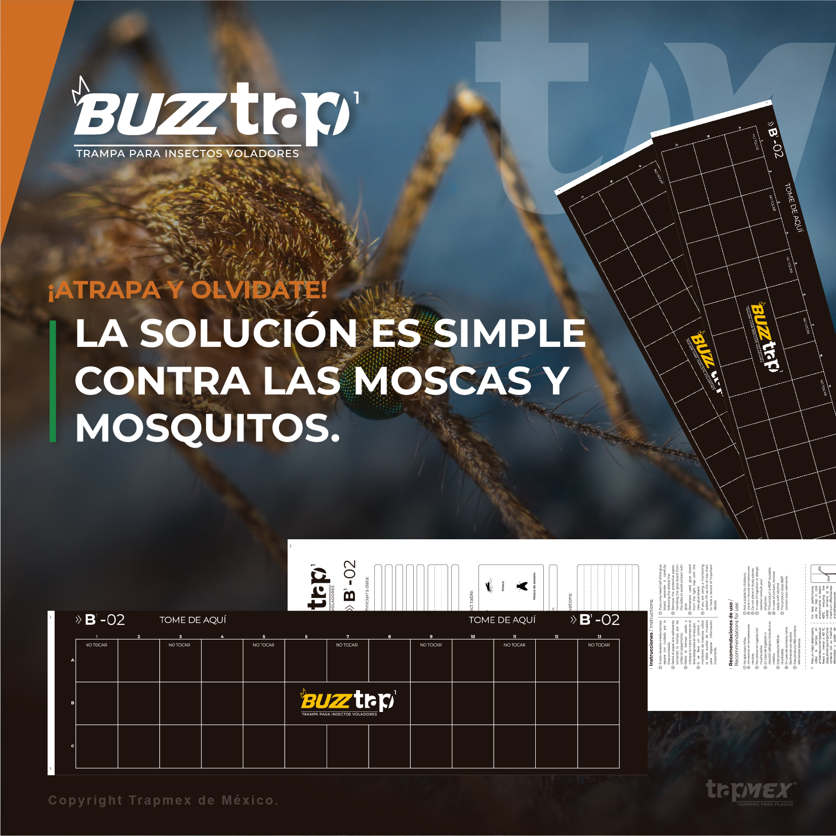 Trapmex - Trampas de goma para plagas - Buzztrap 1 (1)