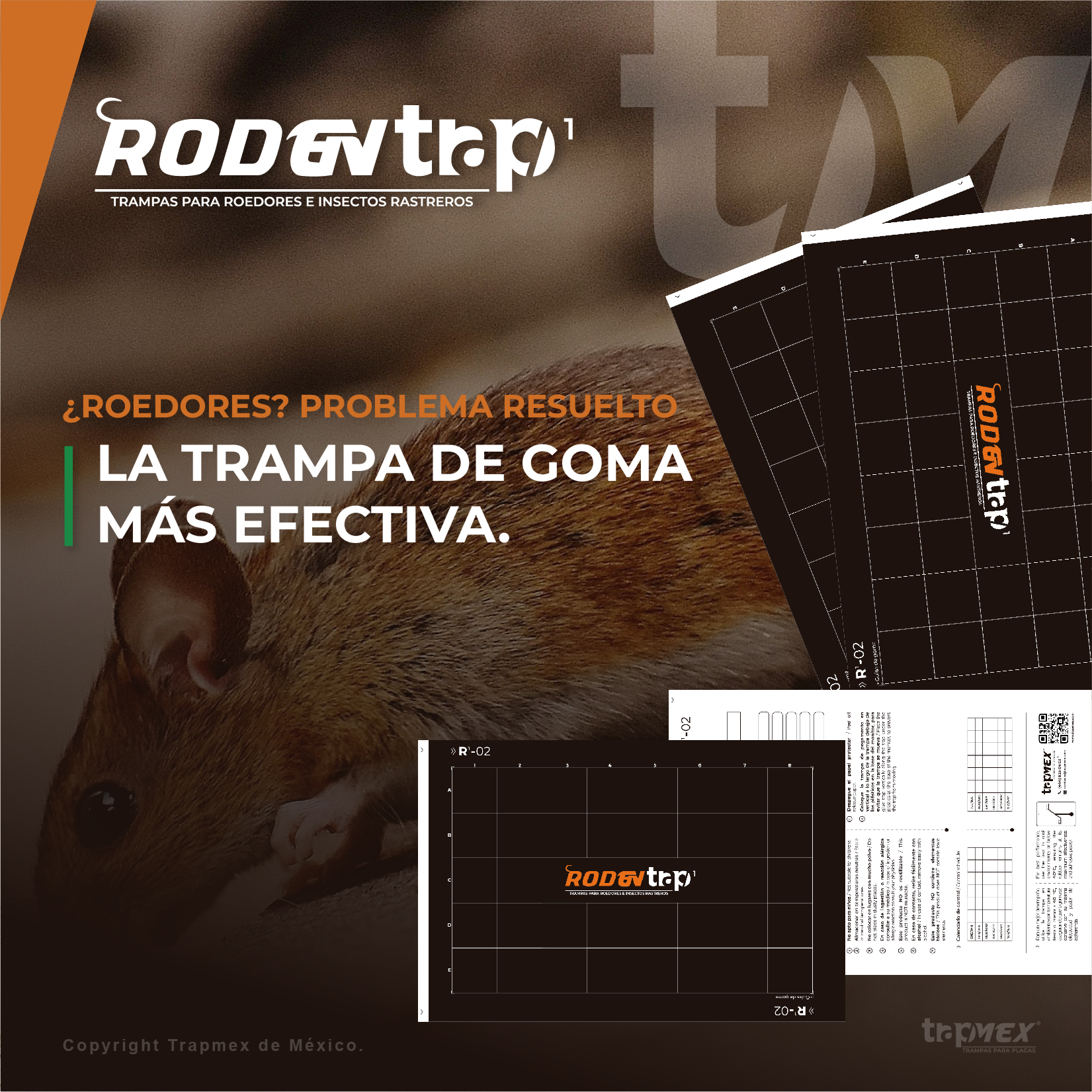 Trapmex - Trampas de goma para plagas - Rodentrap 1 (1)