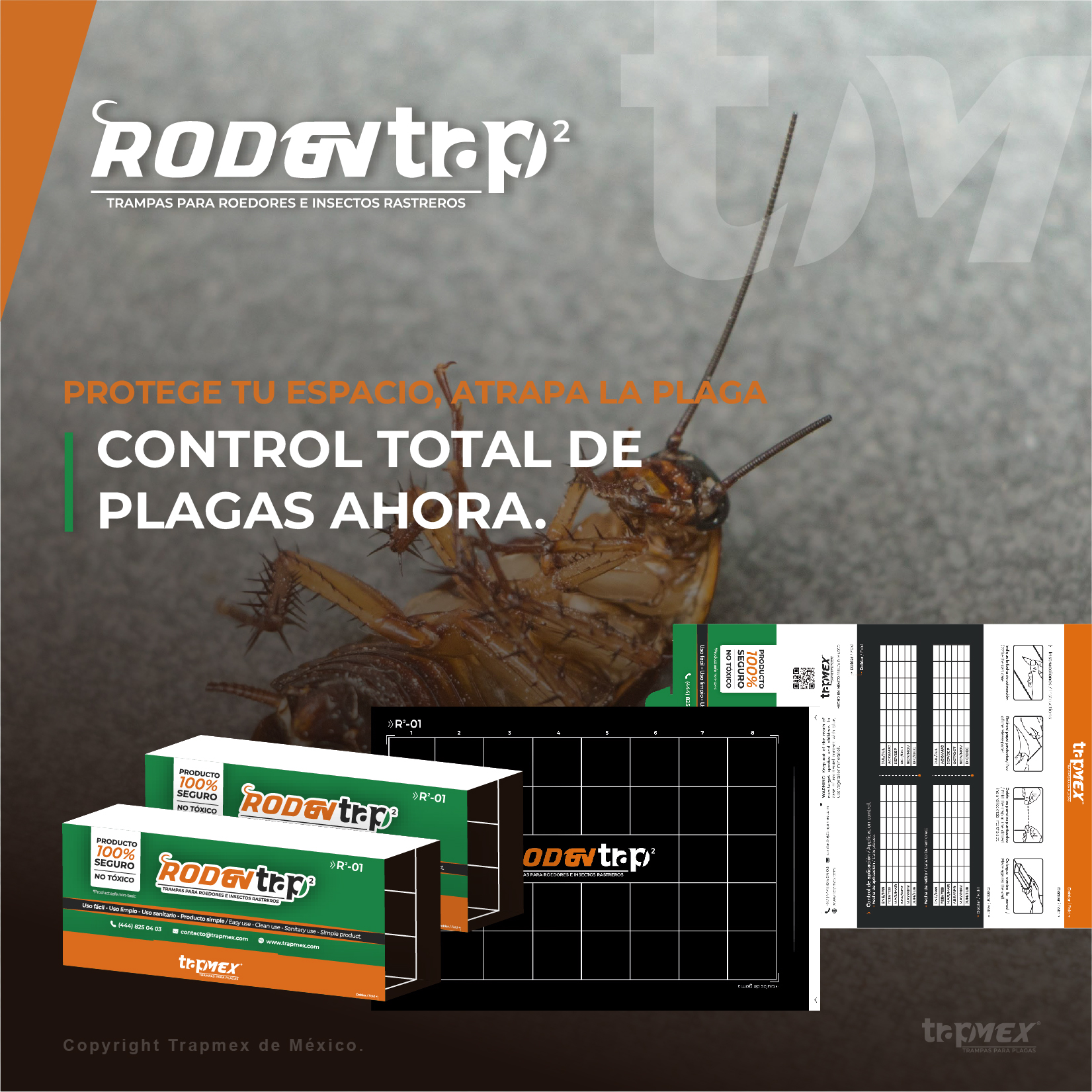 Trapmex - Trampas de goma para plagas - Rodentrap 2 (1)