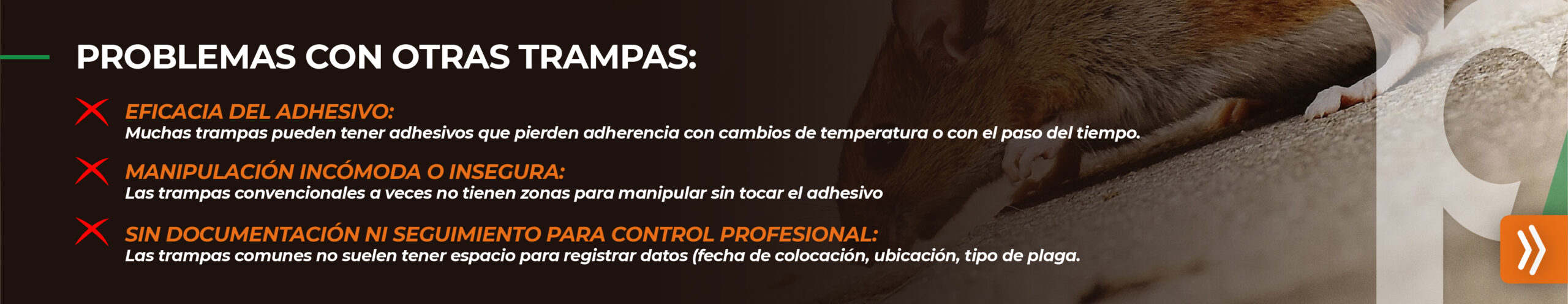 Trampas de goma para control de plagas - Problemas comunes