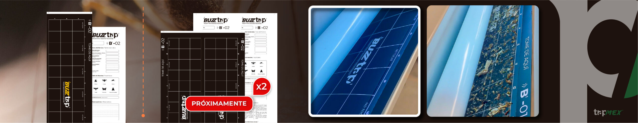 Banners - Trapmex - Buzztrap 1