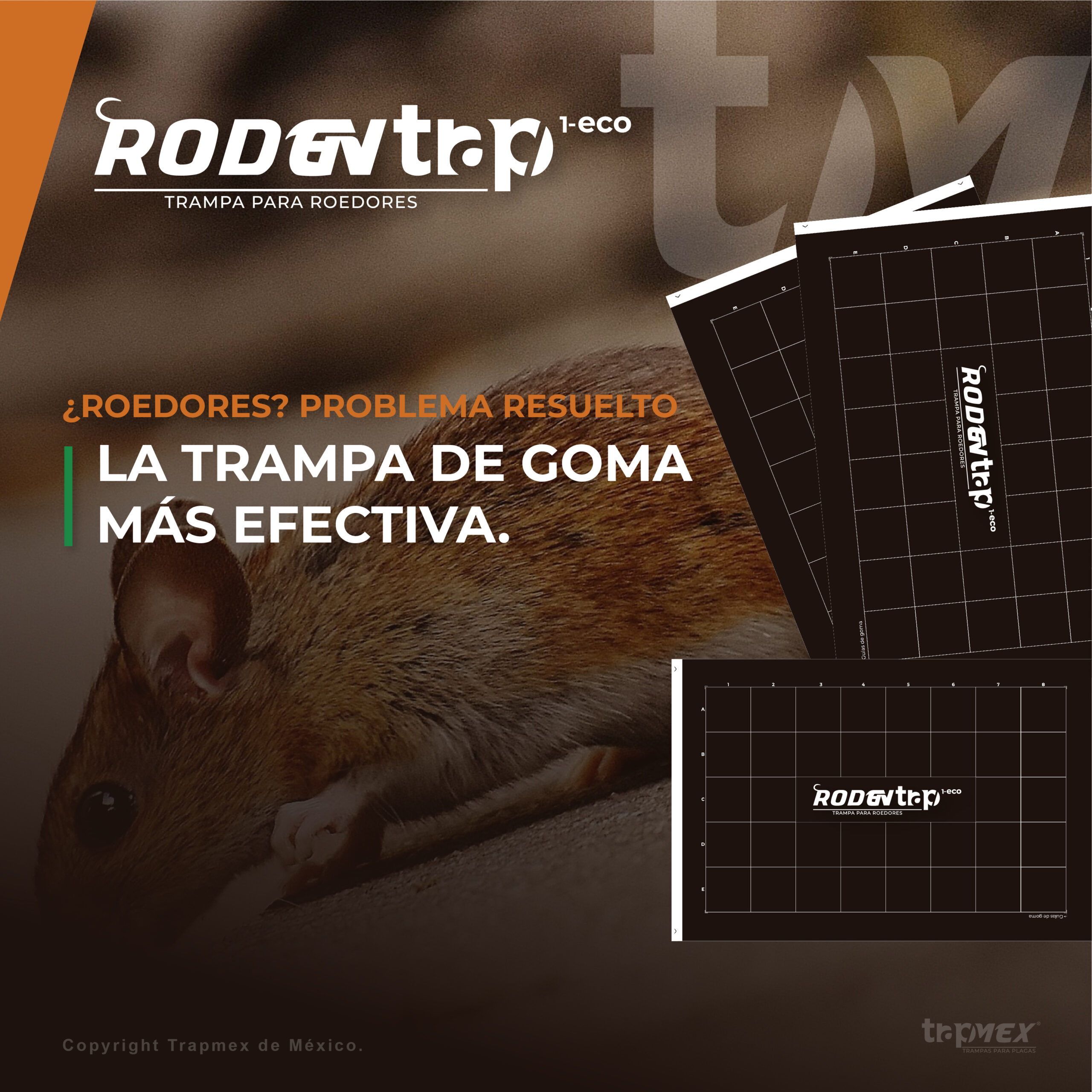 RODENTRAP 1-eco / Trampas para Roedores (+1000pzs) - Imagen 5